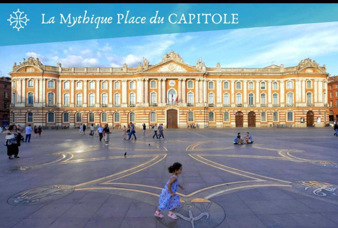 L Oasis Studio Proche Hopital Et Aeroport Piscine Parking &Netflix Toulouse Bagian luar foto