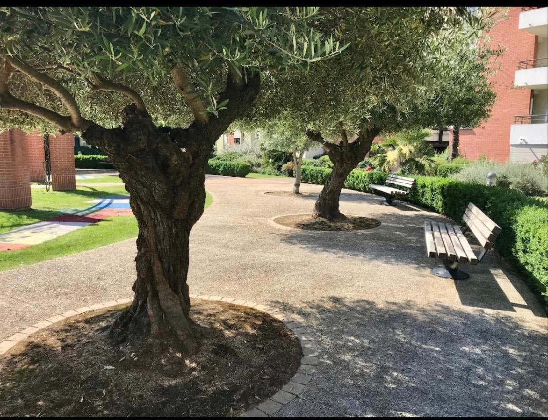 L Oasis Studio Proche Hopital Et Aeroport Piscine Parking &Netflix Toulouse Bagian luar foto